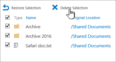 SharePoint 2016 korpa za otpatke drugog nivoa sa svim stavkama izabranim i istaknutim brisanjem