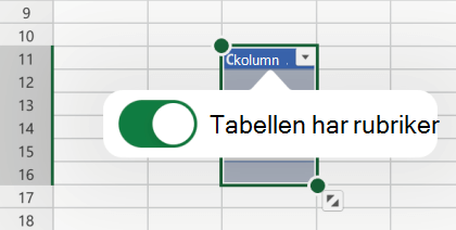 Alternativet Tabell har rubriker markerat i Excel för iOS